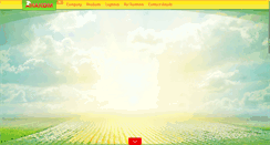 Desktop Screenshot of anacom.ru